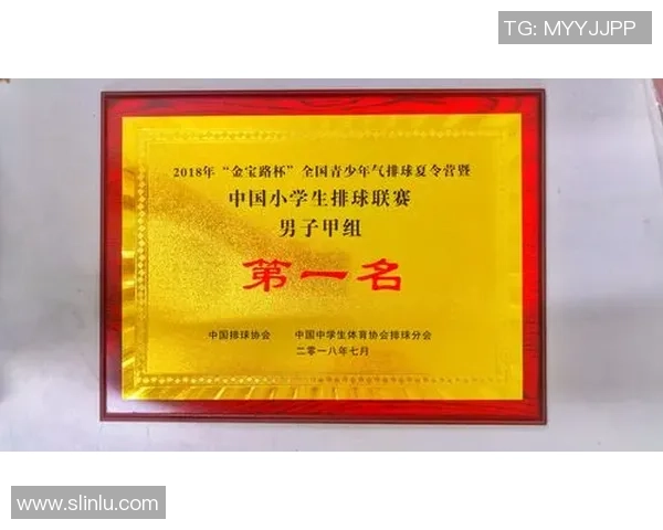 武汉排球队荣登全国排球力量排行榜第一名展现强大实力与团队精神